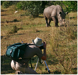 Kenya 2006